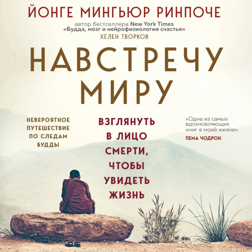 Навстречу миру (новое оформление) Навстречу миру (новое оформление)