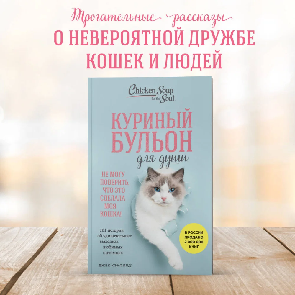 Куриный бульон для души. Не могу поверить, что это сделала моя кошка! 101 история об удивительных выходках любимых питомцев Куриный бульон для души. Не могу поверить, что это сделала моя кошка! 101 история об удивительных выходках любимых питомцев