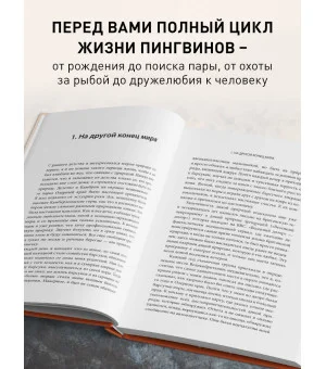 Год с пингвинами. Невероятная жизнь рядом с императорами Антарктиды Год с пингвинами. Невероятная жизнь рядом с императорами Антарктиды