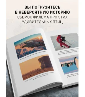 Год с пингвинами. Невероятная жизнь рядом с императорами Антарктиды Год с пингвинами. Невероятная жизнь рядом с императорами Антарктиды