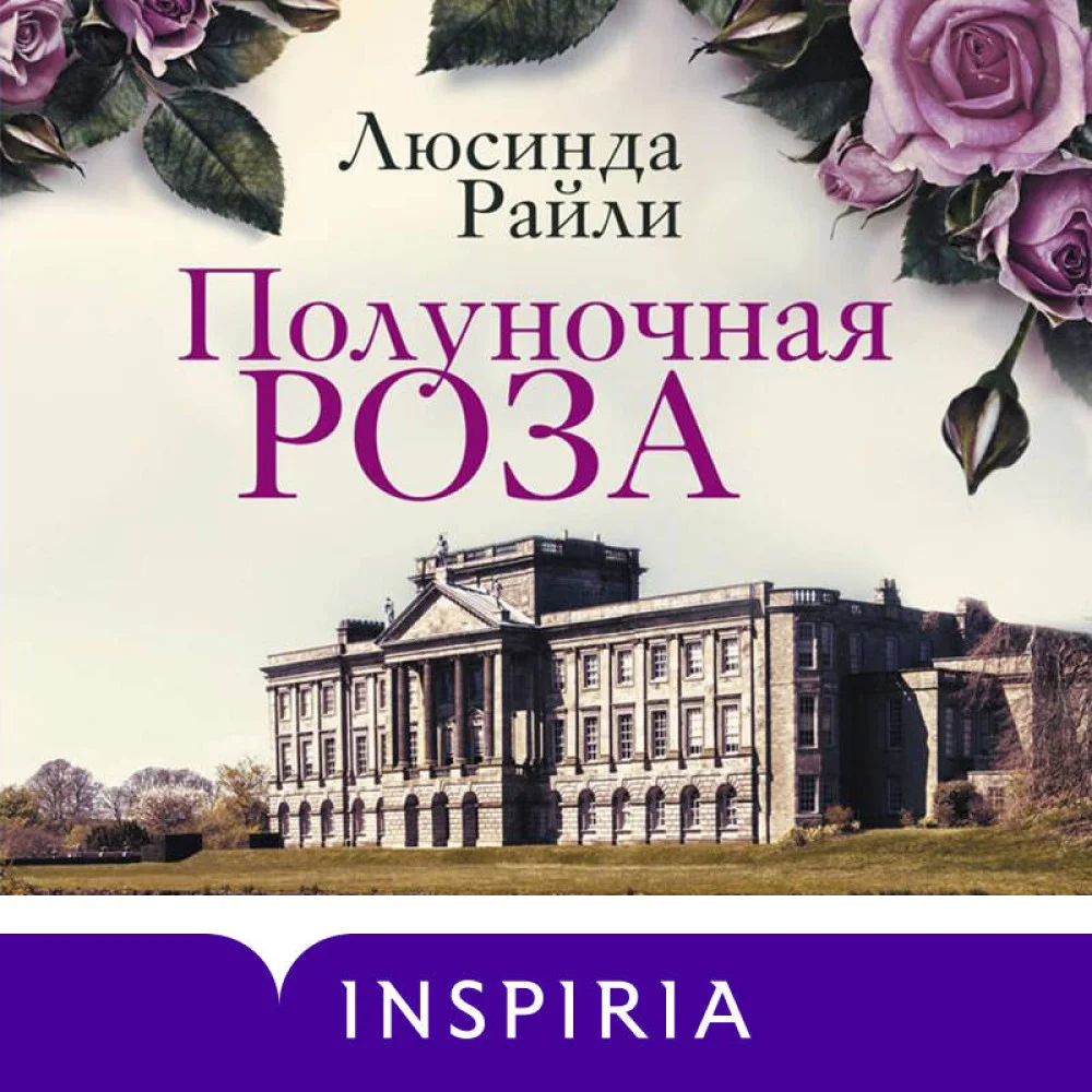 Полуночная роза Полуночная роза
