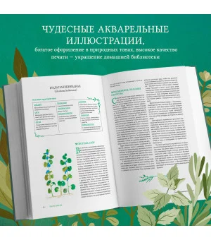 Гримуар травницы. Иллюстрированный справочник по сбору, заготовкам и полезным свойствам дикорастущих растений