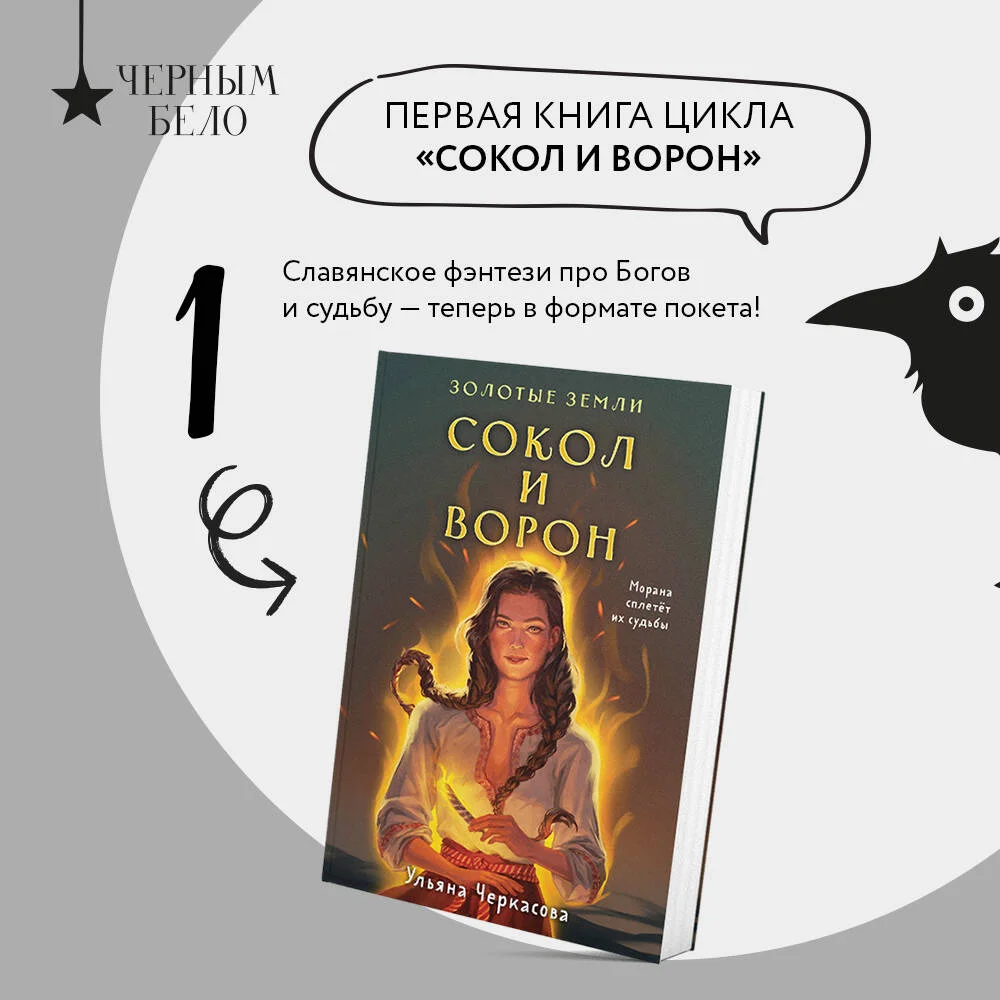 Комплект Золотые Земли (книга Сокол и ворон+тетрадь) Комплект Золотые Земли (книга Сокол и ворон+тетрадь)