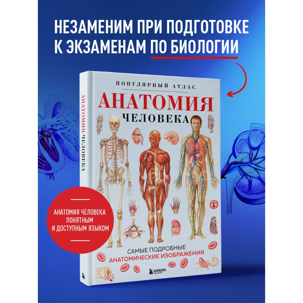 Анатомия человека. Популярный атлас. Самые подробные анатомические изображения Анатомия человека. Популярный атлас. Самые подробные анатомические изображения