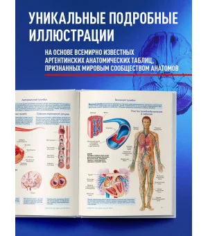 Анатомия человека. Популярный атлас. Самые подробные анатомические изображения