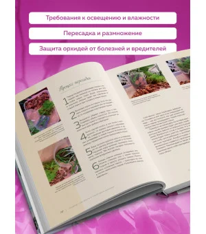 Великолепные орхидеи. Практичное руководство по уходу для начинающих