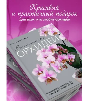 Великолепные орхидеи. Практичное руководство по уходу для начинающих