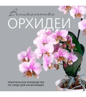 Великолепные орхидеи. Практичное руководство по уходу для начинающих