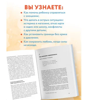 Мой маленький сорванец. Как воспитывать гиперактивного ребенка и не сойти с ума Мой маленький сорванец. Как воспитывать гиперактивного ребенка и не сойти с ума