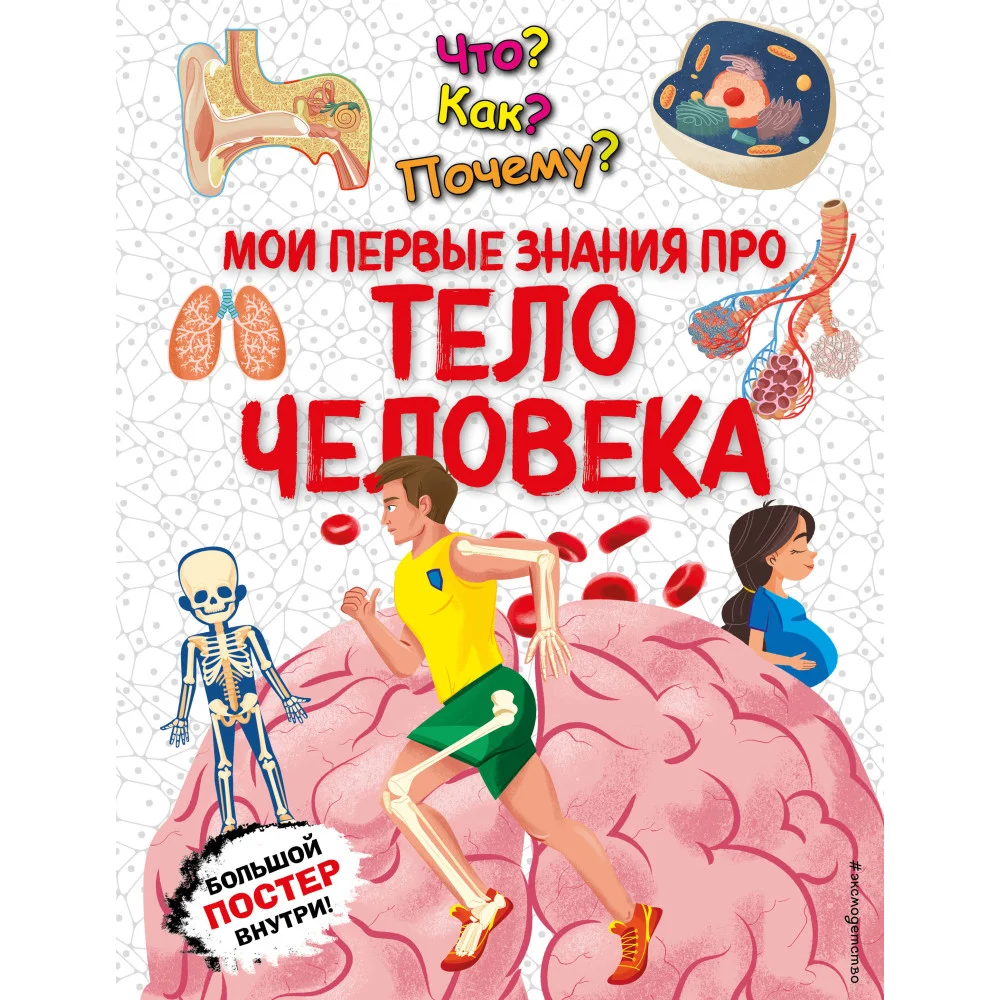 Что? Как? Почему? Мои первые знания про ТЕЛО ЧЕЛОВЕКА (с постером) Что? Как? Почему? Мои первые знания про ТЕЛО ЧЕЛОВЕКА (с постером)