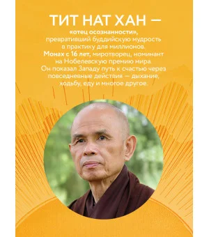 Путь к радости. Учение Тит Нат Хана об осознанной жизни. Ешь, гуляй, сиди, люби отдыхай осознанно.