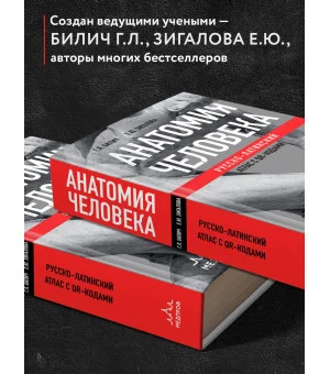 Анатомия человека: Русско-латинский атлас с QR-кодами на цветные изображения
