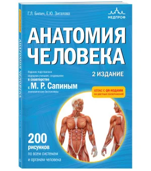Анатомия человека. 2 издание. Атлас с qr-кодами на цветные изображения