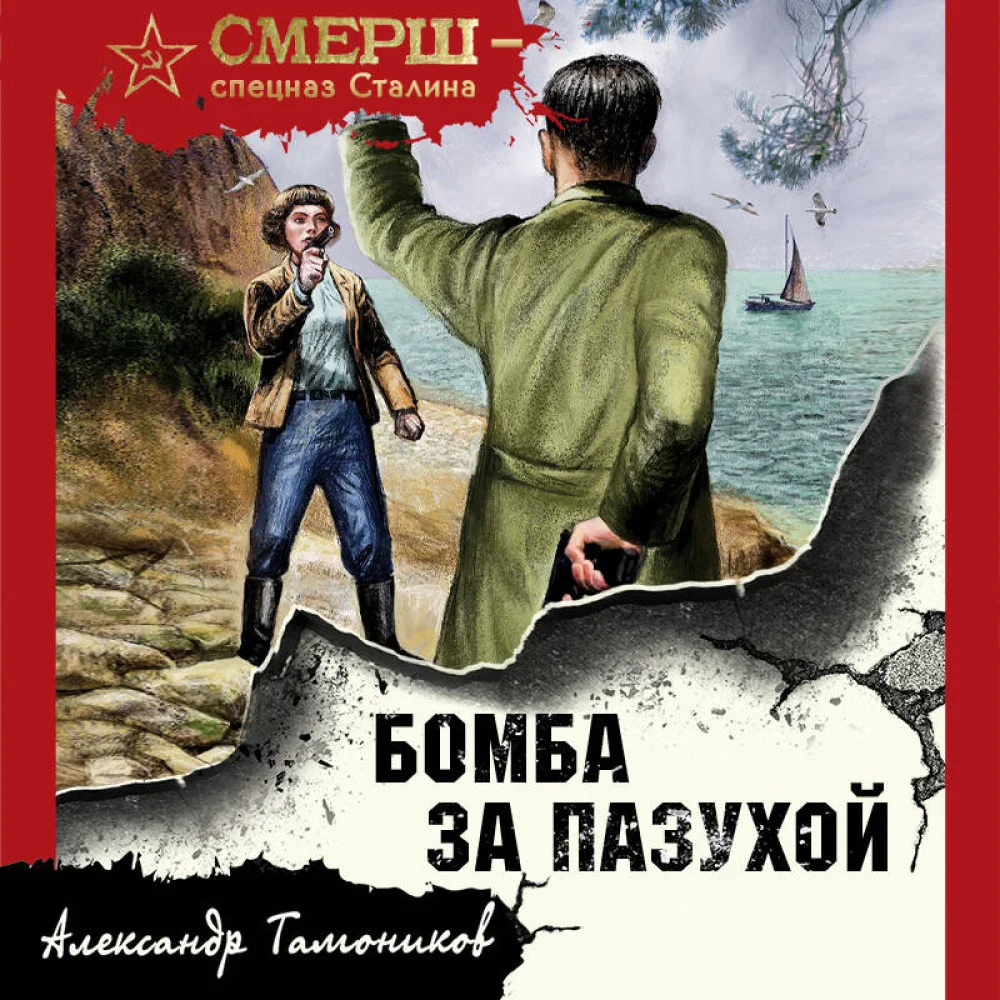 Бомба за пазухой Бомба за пазухой