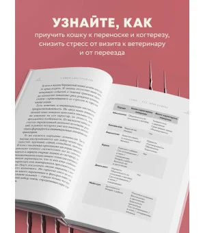 Кошачий закон и порядок. Как найти общий язык с кошкой и не стать жертвой ее капризов