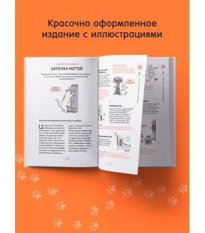 Чего хотят кошки. Японский бестселлер по воспитанию усатых малышей