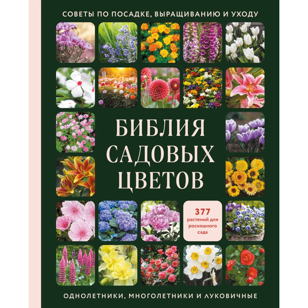 Библия садовых цветов. Однолетники, многолетники и луковичные. Советы по посадке, выращиванию и уходу