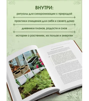 Шаманчай: год в гармонии с природой. Книга о растениях, их силах и применении