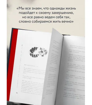 Если все кошки в мире исчезнут. Эксклюзивное издание с цветными иллюстрациями (имитация шнуровки, печать по обрезу)