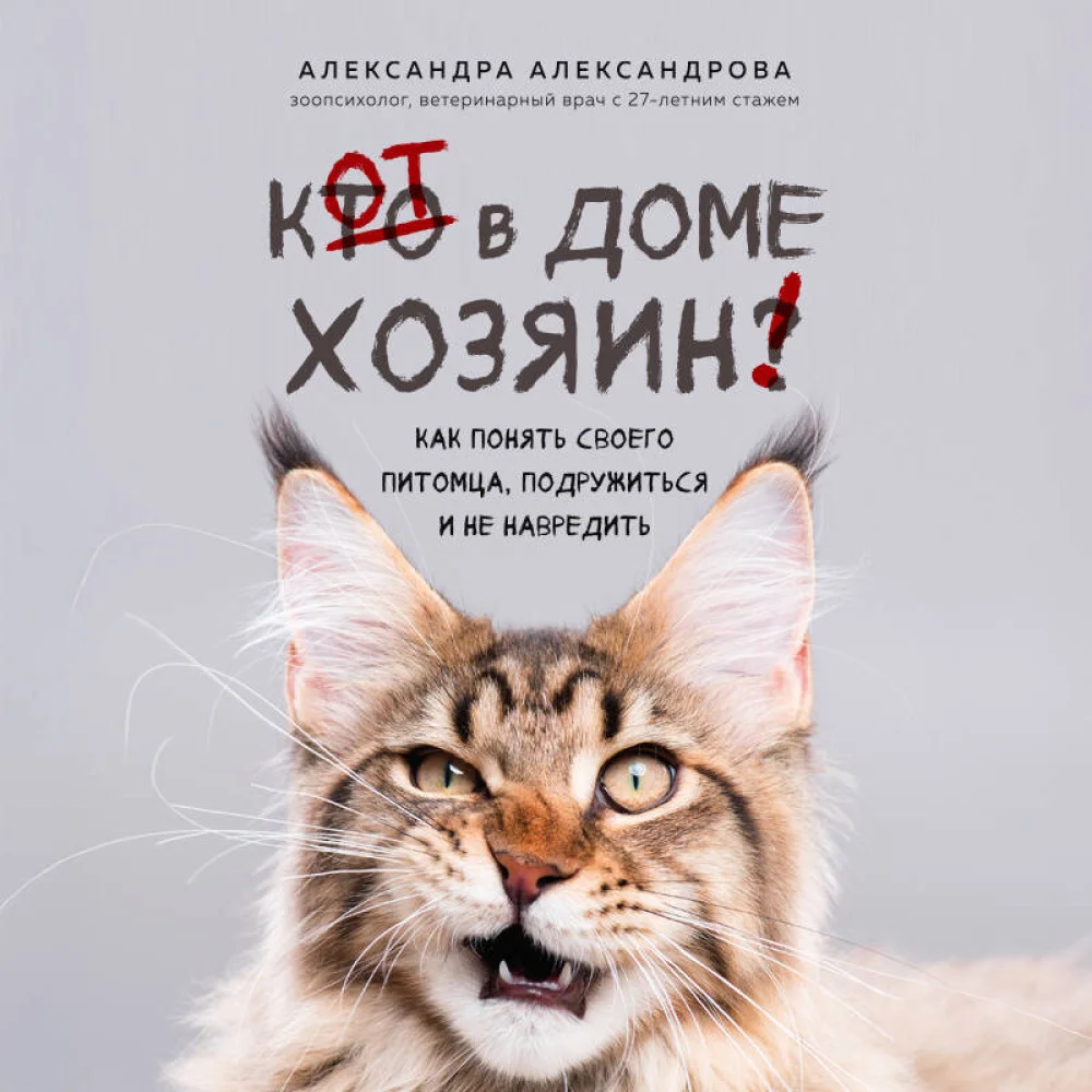 Кот в доме хозяин! Как понять своего питомца, подружиться и не навредить (новое оформление)