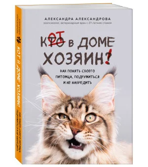 Кот в доме хозяин! Как понять своего питомца, подружиться и не навредить (новое оформление)