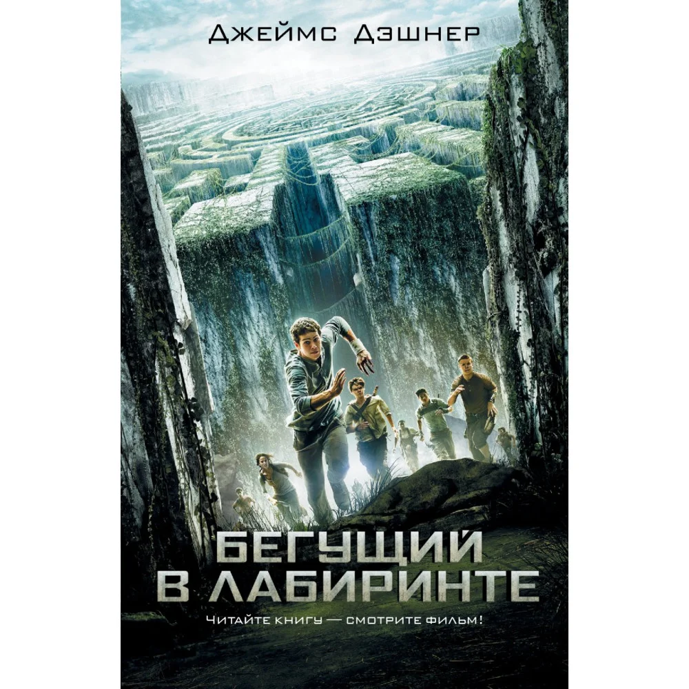 Бегущий в Лабиринте Бегущий в Лабиринте