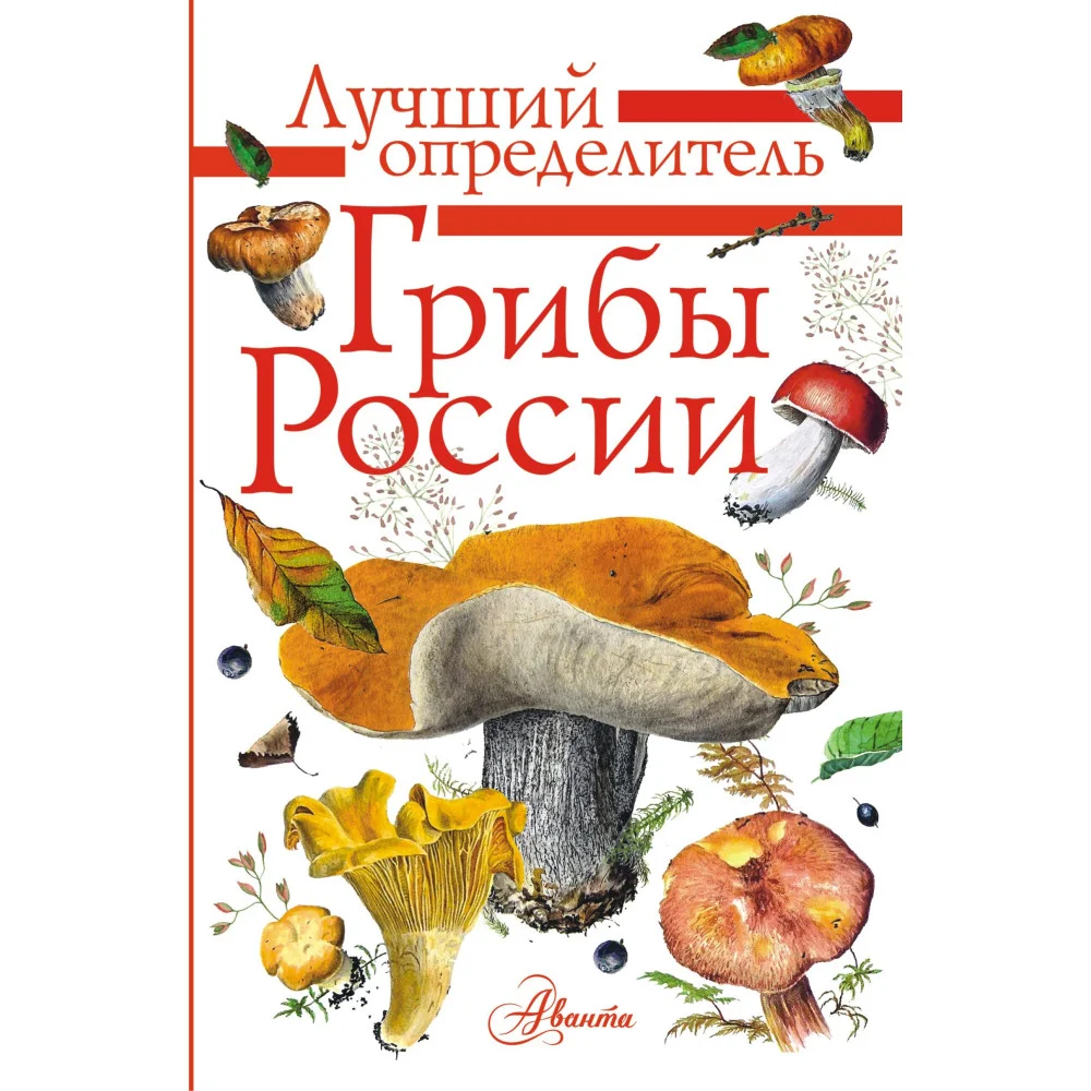 Грибы России. Определитель Грибы России. Определитель