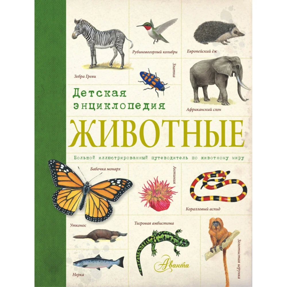 Животные. Детская энциклопедия Животные. Детская энциклопедия