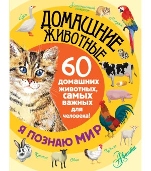 Домашние животные