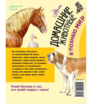 Домашние животные