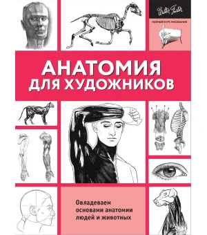 Анатомия для художников