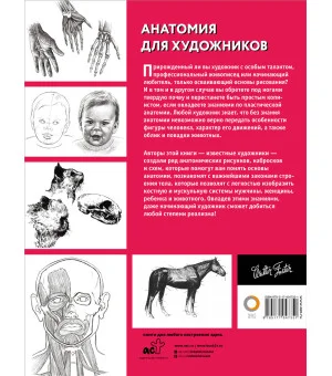 Анатомия для художников