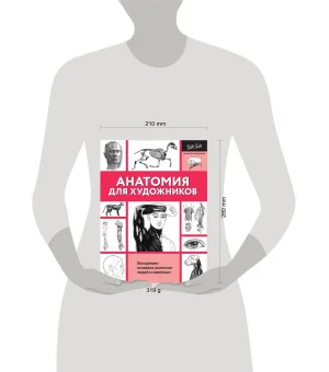 Анатомия для художников