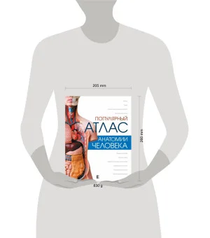 Популярный атлас анатомии человека