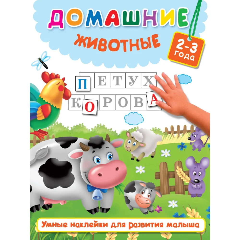 Домашние животные Домашние животные