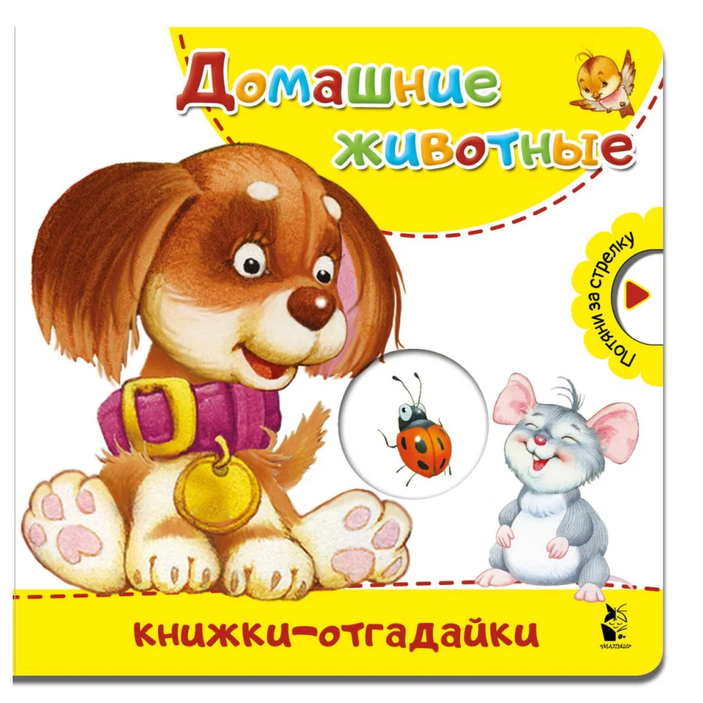 Домашние животные Домашние животные