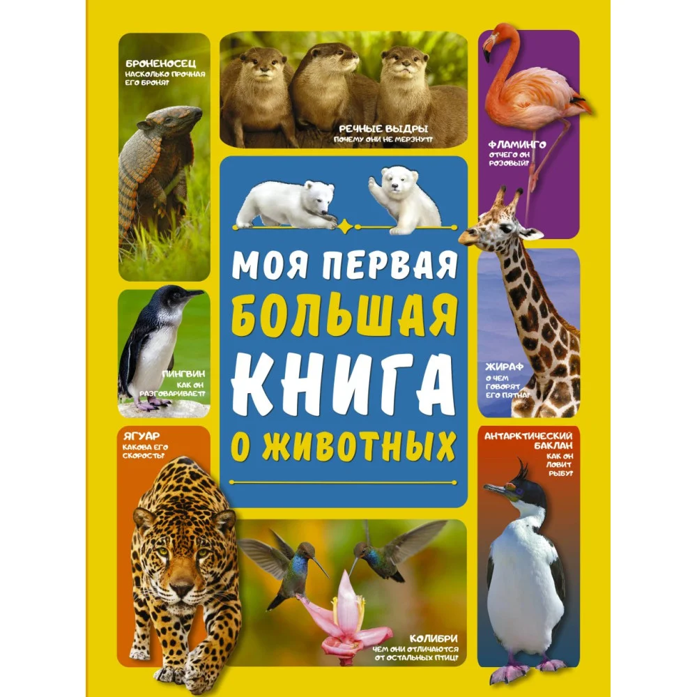 Моя первая большая книга о животных Моя первая большая книга о животных