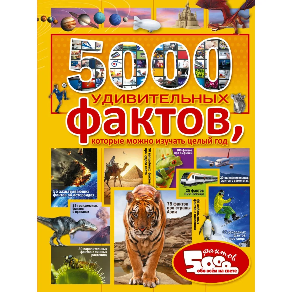 5000 удивительных фактов, которые можно изучать целый год 5000 удивительных фактов, которые можно изучать целый год