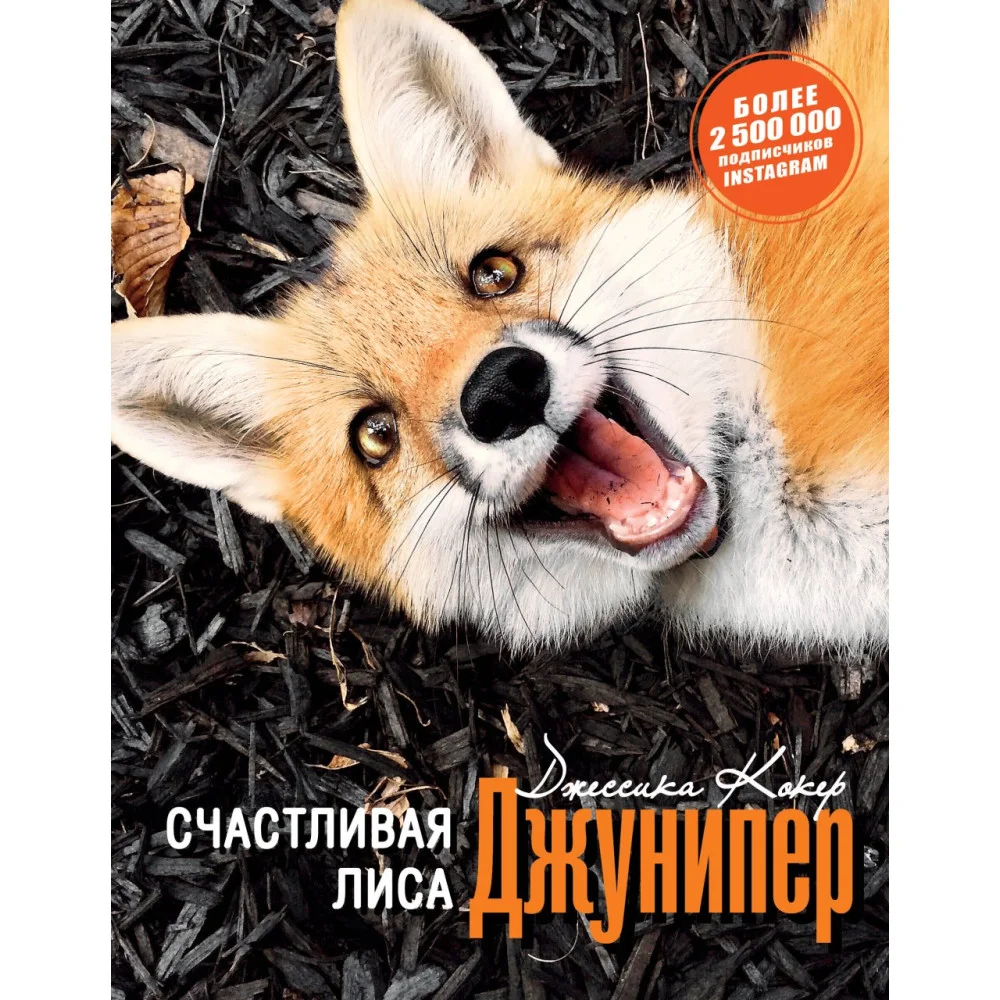 Счастливая лиса Джунипер Счастливая лиса Джунипер