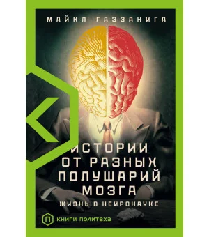 Истории от разных полушарий мозга