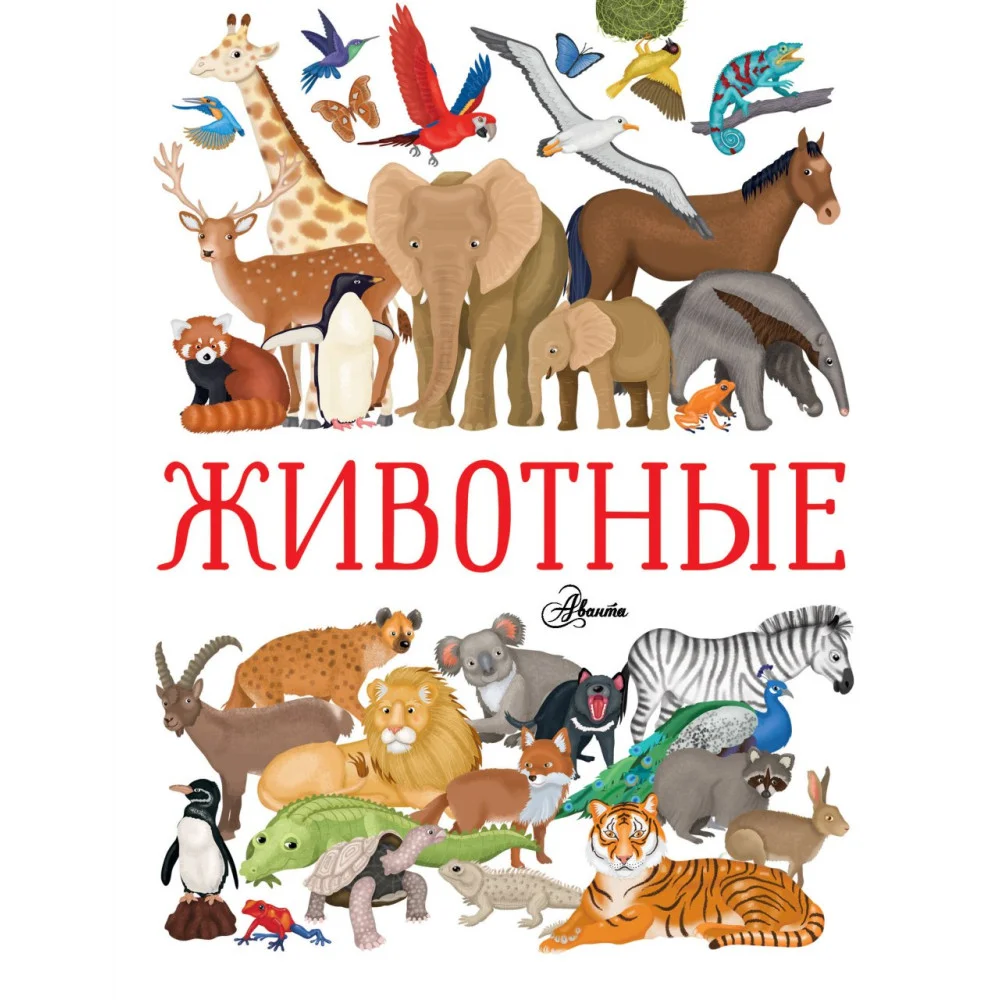 Животные Животные