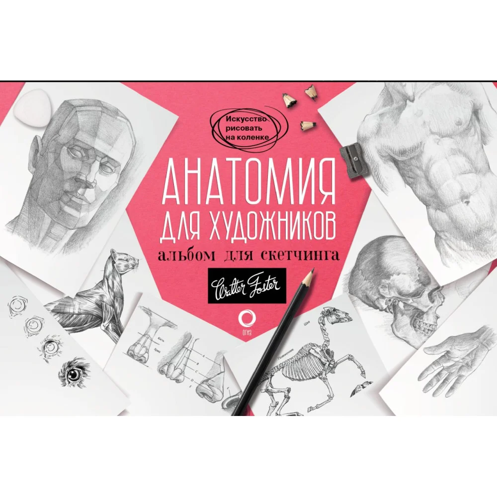 Анатомия для художников. Альбом для скетчинга Анатомия для художников. Альбом для скетчинга