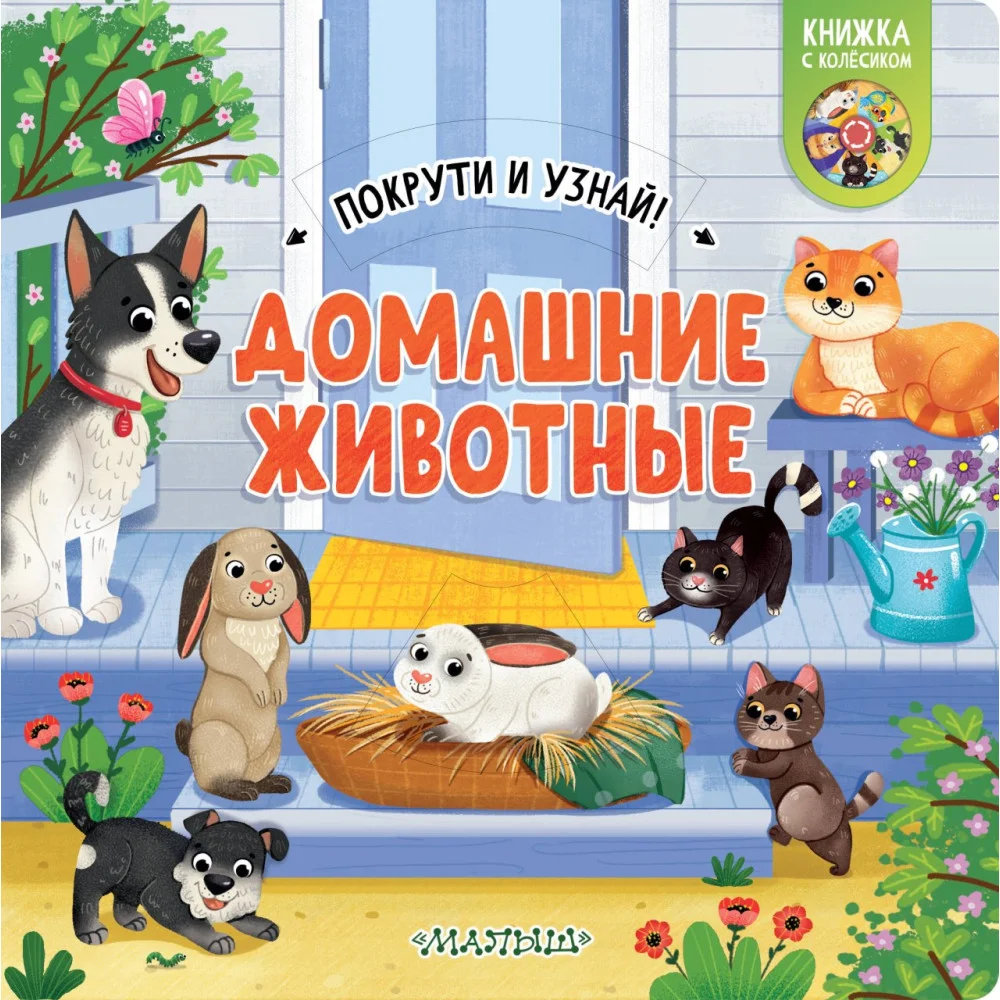 Домашние животные Домашние животные