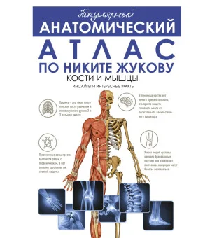 Популярный анатомический атлас по Никите Жукову: кости и мышцы. Инсайты и интересные факты Популярный анатомический атлас по Никите Жукову: кости и мышцы. Инсайты и интересные факты