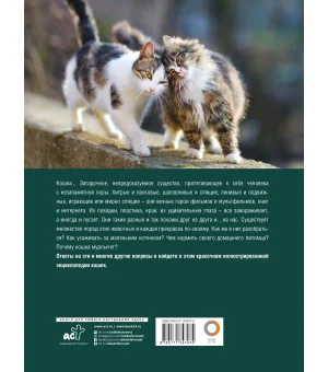 Кошки. Лучший иллюстрированный гид