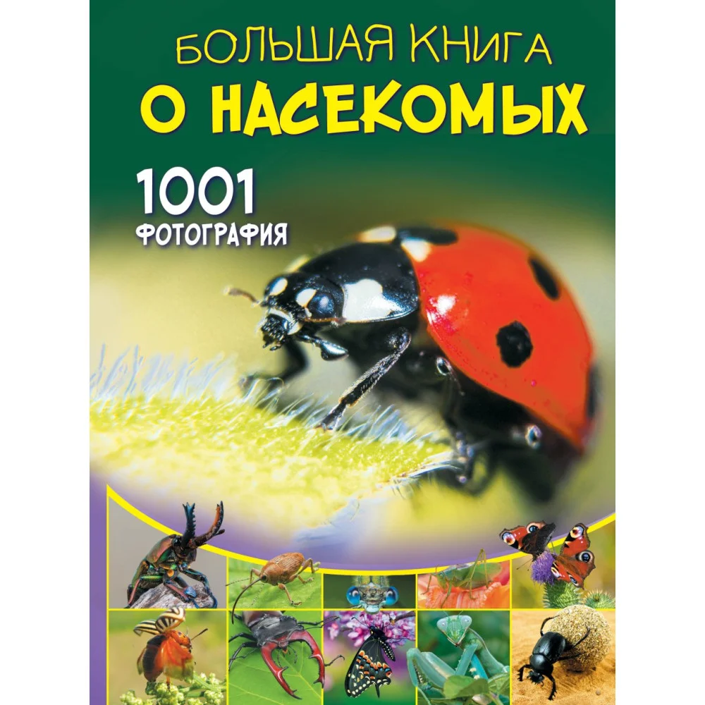 Большая книга о насекомых. 1001 фотография Большая книга о насекомых. 1001 фотография