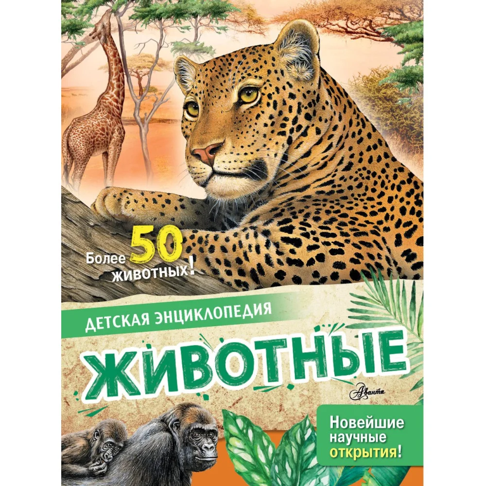 Животные Животные