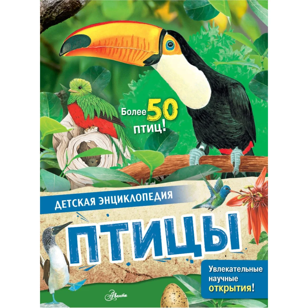 Птицы Птицы