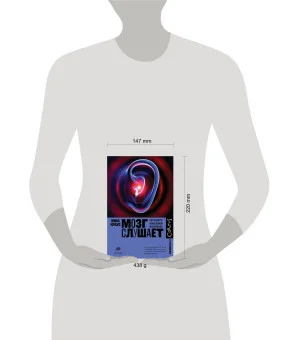 Мозг слушает