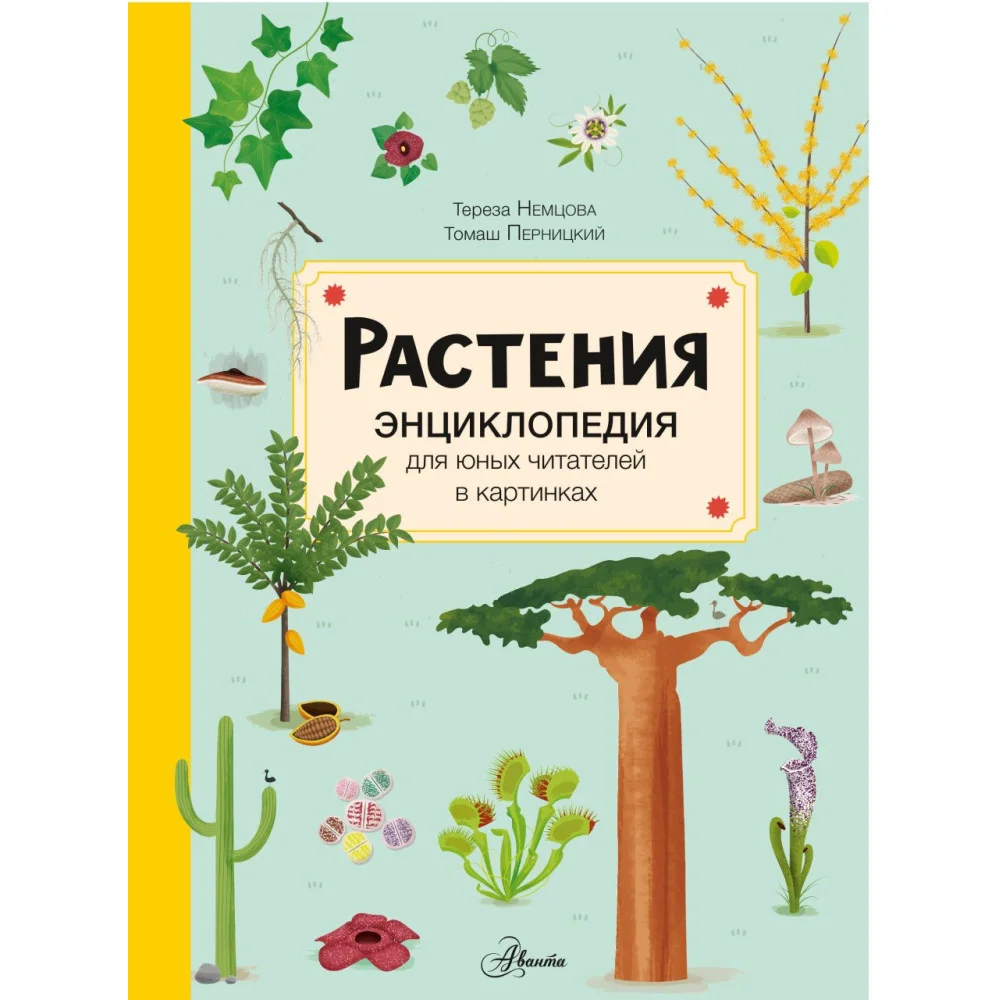 Растения Растения
